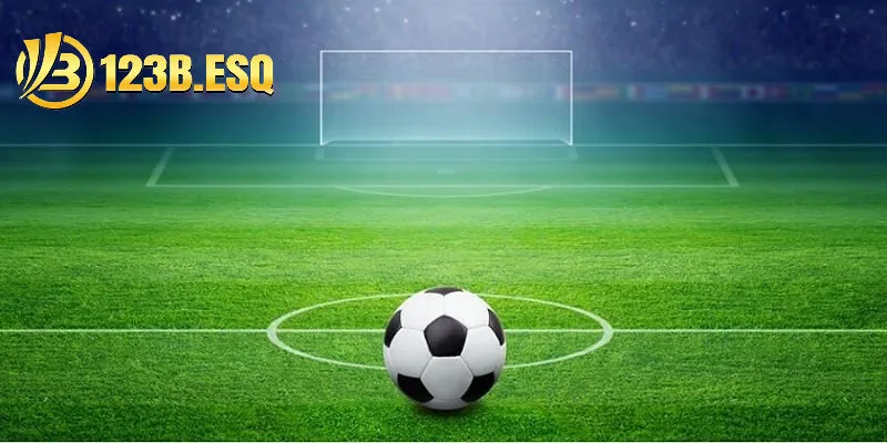 Tại sao bạn nên tham gia cá cược với Kèo 1 1/4 tại nhà cái